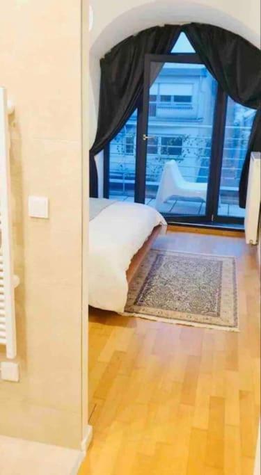 Penthouse In -terrace Apartment Luxemburg
